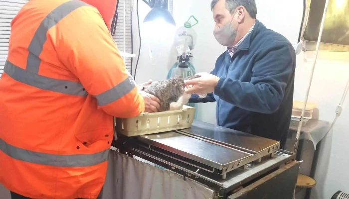 Don Bicho -  Ubicacion - Treinta y Tres