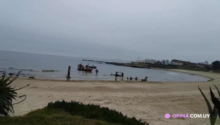 Don Ceriani -  Videos - Montevideo