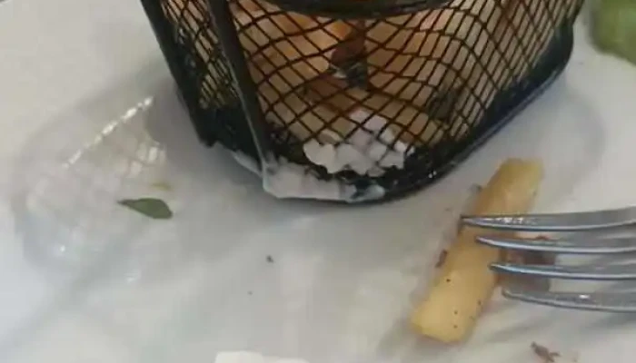 Don Napolitano -  Videos - Montevideo