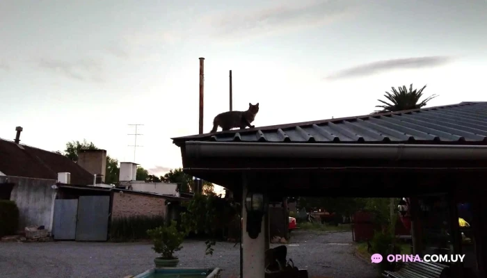 Don Quijote -  Exterior - San José de Mayo