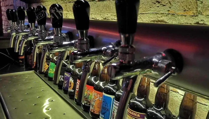 Don Ramon Cerveceria -  Ambiente - Carmelo