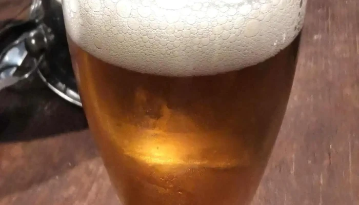 Don Ramon Cerveceria -  Comidas Y Bebidas - Carmelo