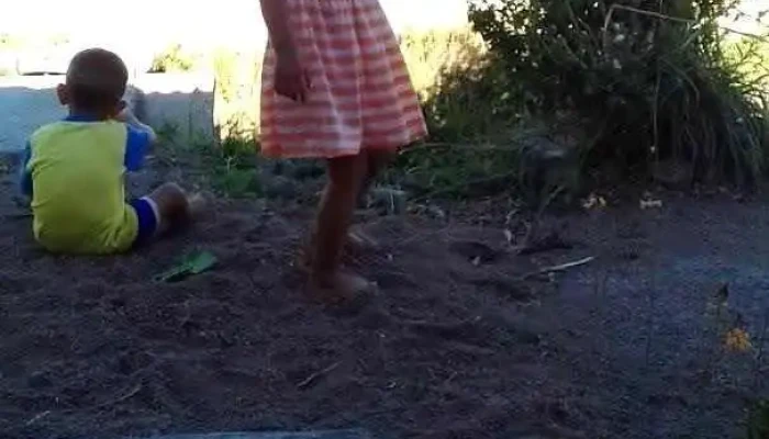 Don Tito -  Videos - Fray Marcos