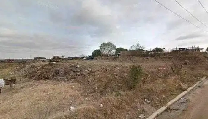 Dona Aida Todo - San José de Mayo