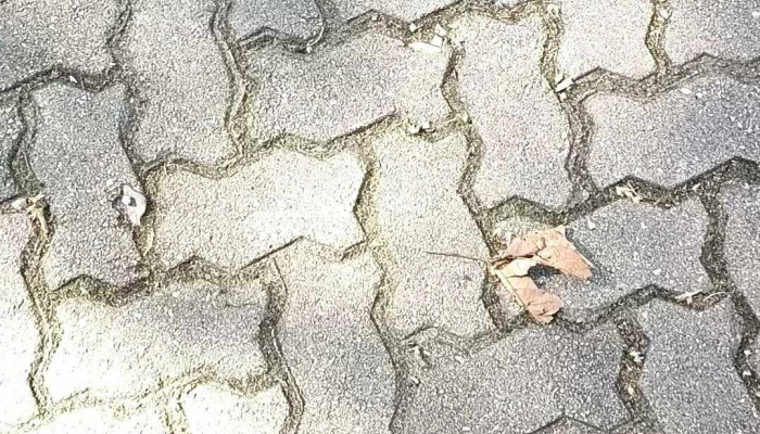 Donatella Cafe Del Propietario - Montevideo