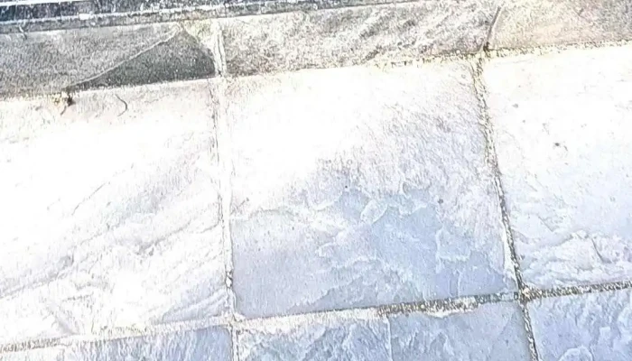 Donatella Cafe Videos - Montevideo