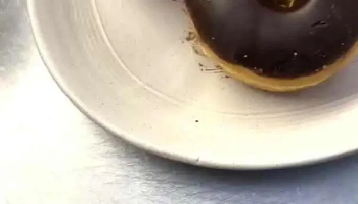 Donut City -  Del Propietario - Punta del Este