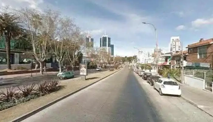 Dra Carla Figoli Direcciondeg - Montevideo