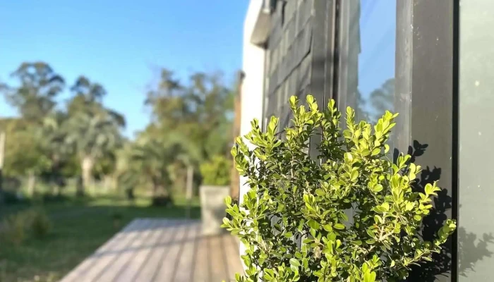 Dra Gissela Rodriguez Descuentos - Castillos