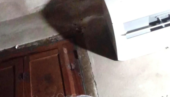 Dra Ligeia Mendez Direccion - Montevideo