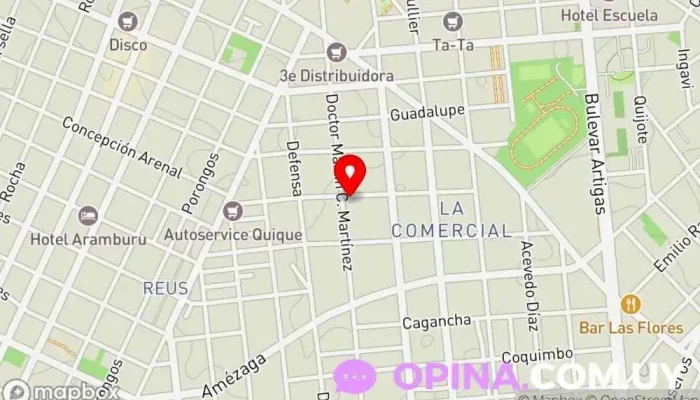 mapa de Dra. Ligeia Mendez Médico, Clínica de acupuntura, Acupuntor, Homeópata en Montevideo