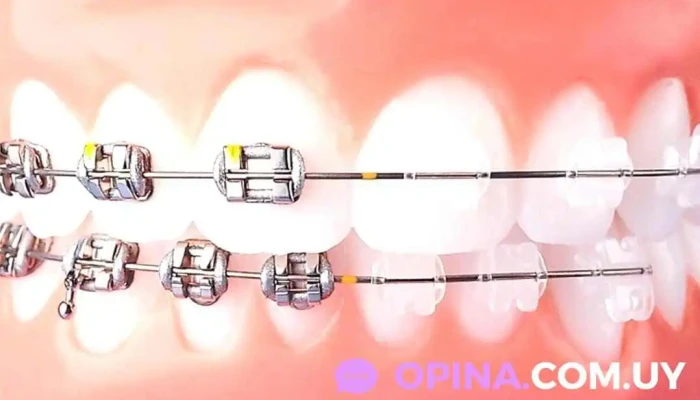 Dra Mariajose Fajardo Rossi Catalogo - Montevideo