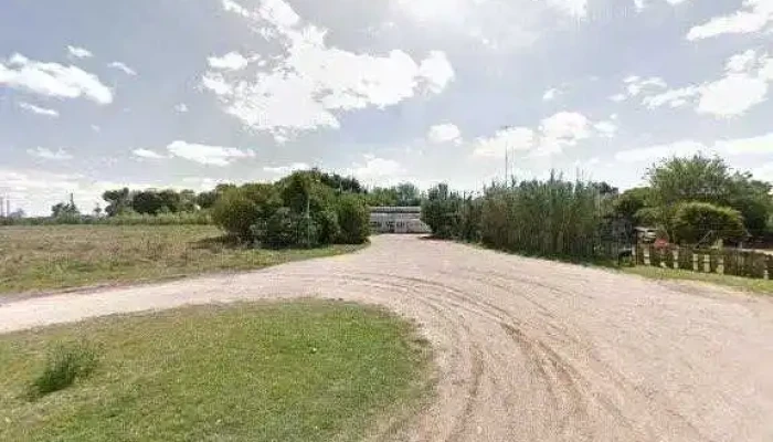 Dragon Verde -  Todo - Cardona