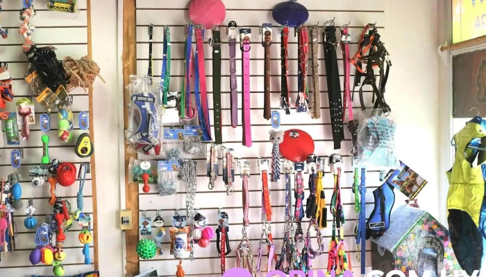 Dulces Huellas - 27000 Rocha