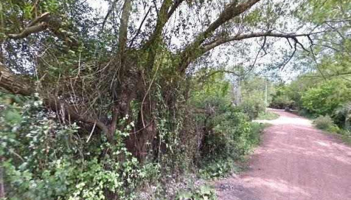 Dulces Paula -  Street View Y 360 - Montevideo