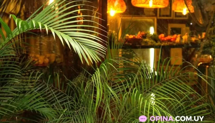 Dunas Del Este -  Exterior - Punta Colorada