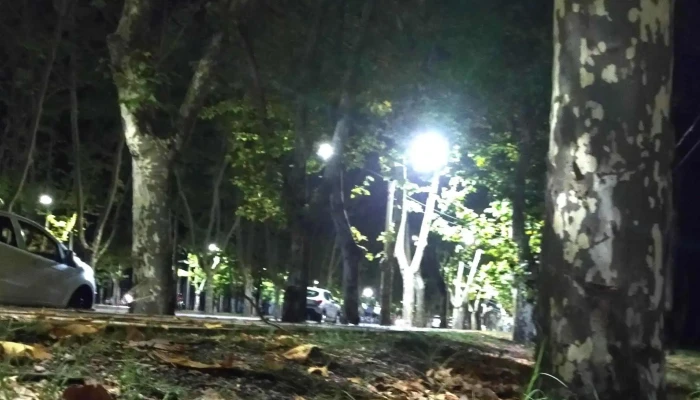 Durazno -  Comentario 5 - Durazno