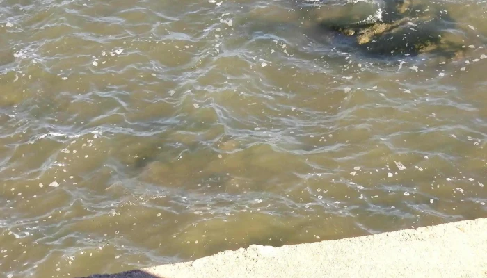 Durazno Y Convencion Comentario 12 - Montevideo