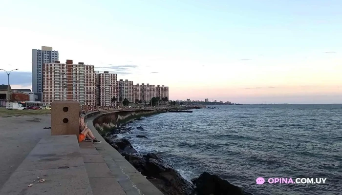 Durazno Y Convencion Todo - Montevideo