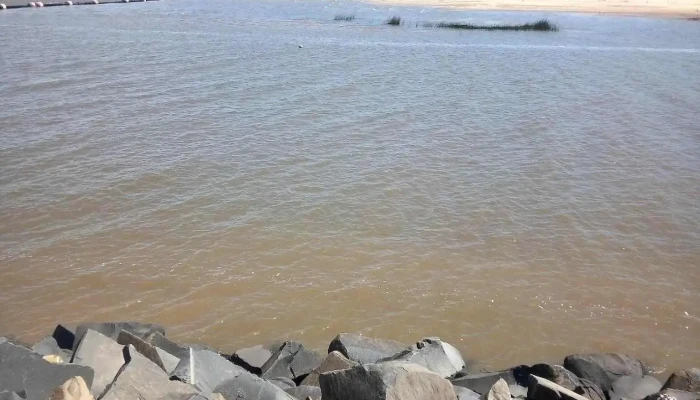 Ecilda Paullier -  Todo - Departamento de San José