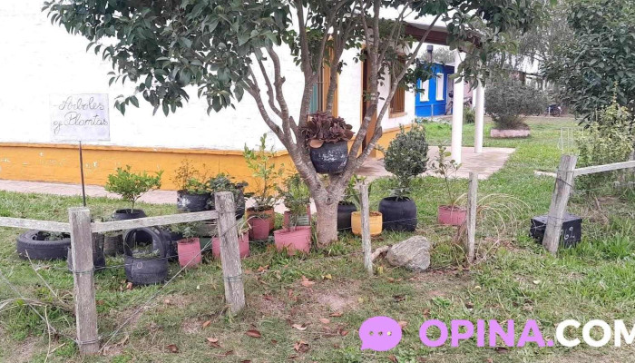 Ecobiohuerta - Vergara