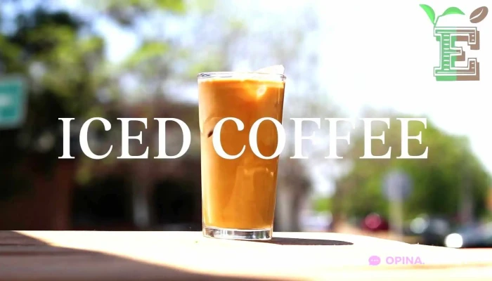 Ecocafe Videos - Maldonado