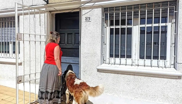 Ecodiagnóstico. Ecografia Veterinaria - 11600 Montevideo