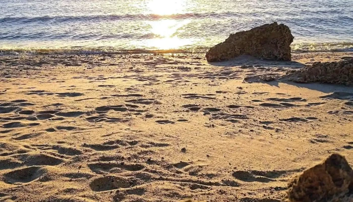 Edificio Coast Harbour -  De Los Visitantes - Col. del Sacramento