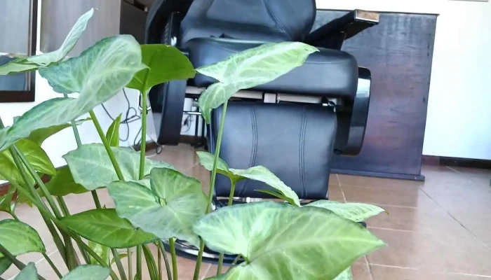 Ef Barber Studio - 75200 Cardona