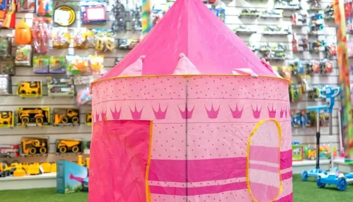 El Aguila Multicosas -  Interior - Salto