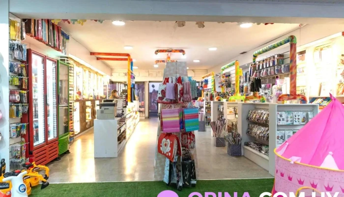 El Aguila Multicosas -  Opiniones - Salto