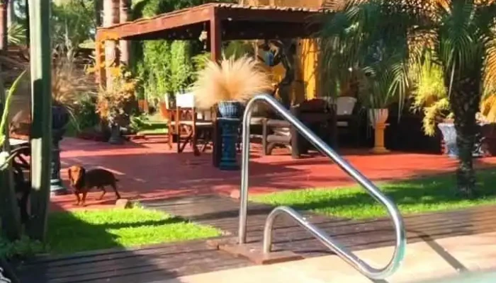 El Bambu Videos - Ciudad de la Costa