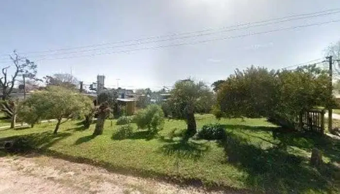 El Bar Del Crazy -  Todo - La Paloma