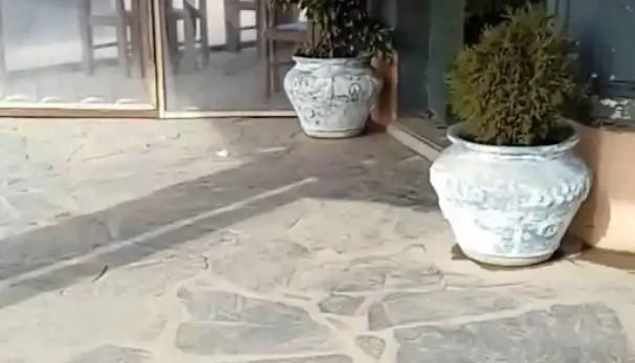 El Boon -  Videos - San Ramón