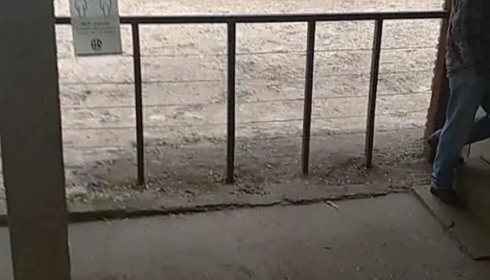 El Canario -  Videos - Sarandí Grande