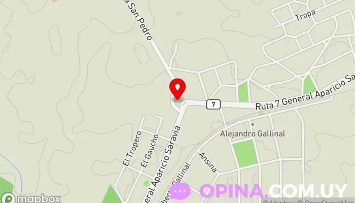 mapa de El Carrillón  en Alejandro Gallinal