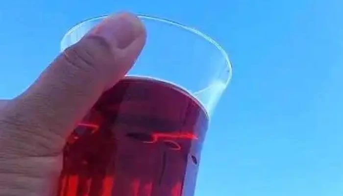 El Cascote -  Mas Recientes - Juan L. Lacaze