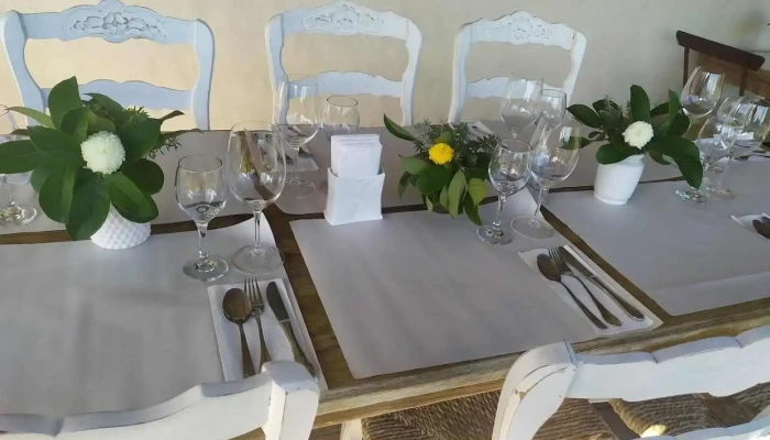 El Ceibo Blanco -  Ambiente - Maldonado