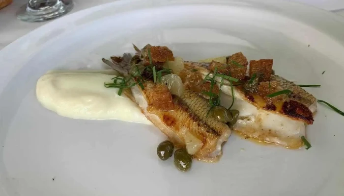 El Ceibo Blanco -  Comida Y Bebida - Maldonado