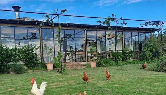 El Ceibo Blanco -  Del Propietario - Maldonado