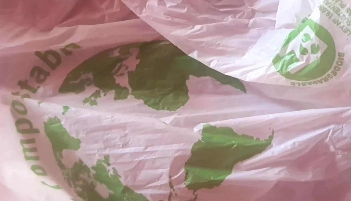 El Chicho -  Comentario 4 - Treinta y Tres