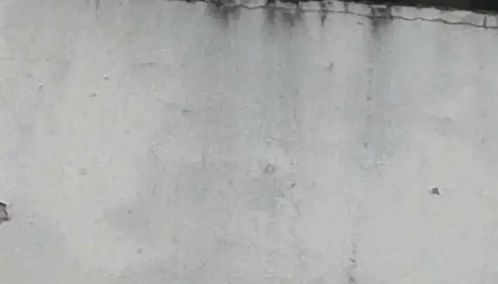 El Chicho -  Videos - Treinta y Tres