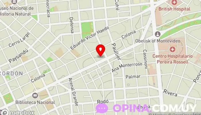 mapa de El Clon Requena Mayorista, Tienda de alimentación en Montevideo