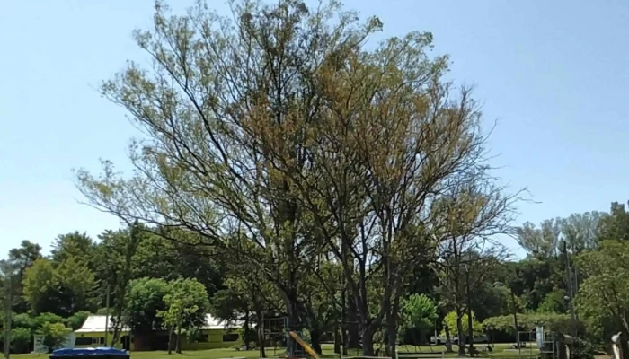 El Club Club Social Y Deportivo Santa Ana Comentario 9 - Balneario