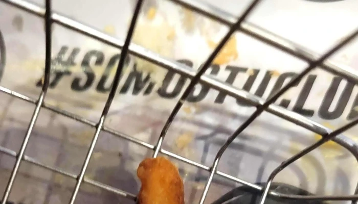 El Club De La Papa Frita -  Comentario 2 - Montevideo