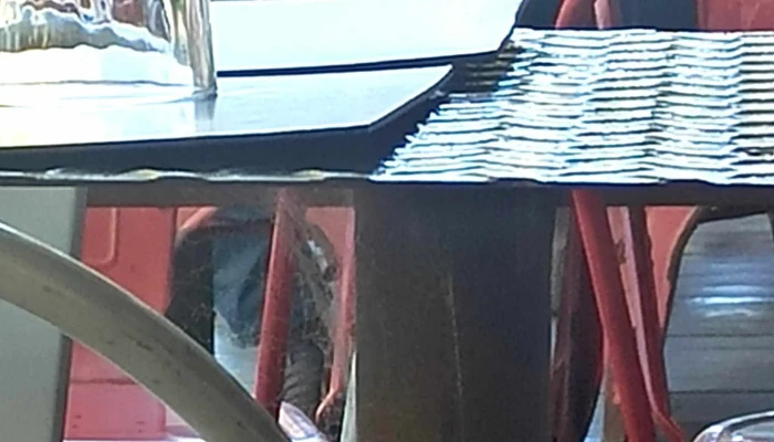 El Club De La Papa Frita -  Comentario 4 - Montevideo