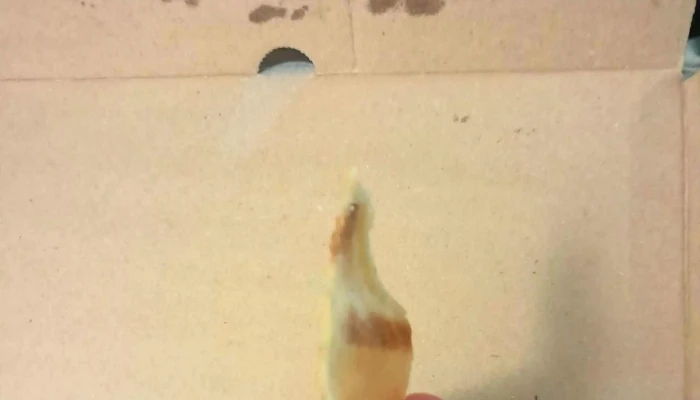 El Club De La Papa Frita -  Comentario 7 - Montevideo