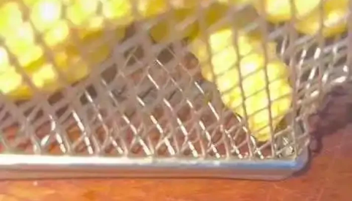 El Club De La Papa Frita -  Videos - Montevideo