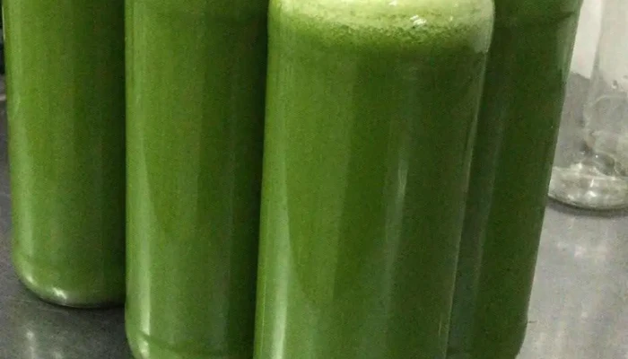 El Club Del Jugo -  Comidas Y Bebidas - Col. del Sacramento