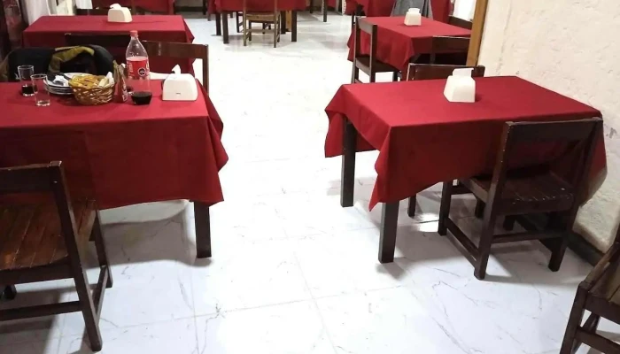 El Comodin Ambiente - La Floresta